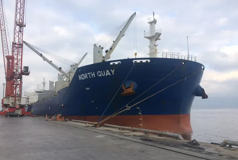 SINO EXPRESS Bulk Carrier IMO 9487653 photo 6