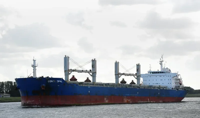 SINO EXPRESS Bulk Carrier IMO 9487653 photo 7