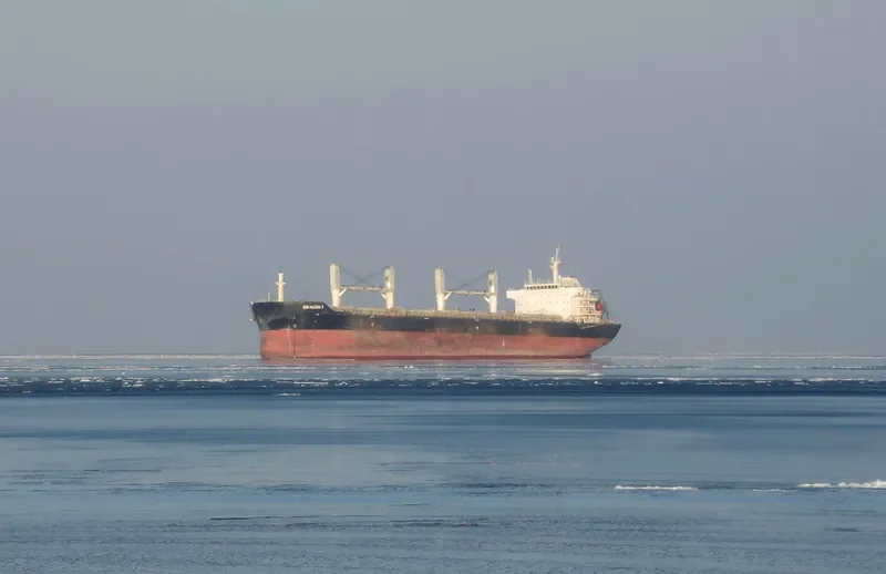 SEACON 7 Bulk Carrier IMO 9487665