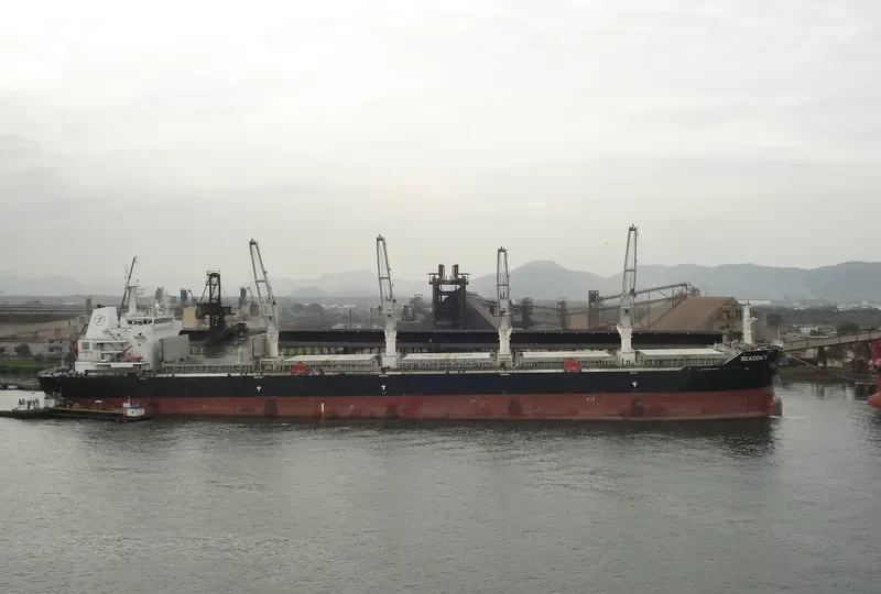 SEACON 7 Bulk Carrier IMO 9487665 photo 2