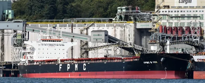 FPMC B 106 Bulk Carrier IMO 9487689