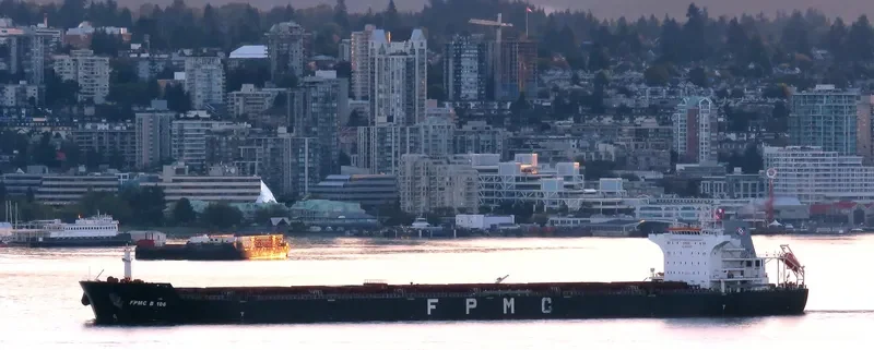 FPMC B 106 Bulk Carrier IMO 9487689 photo 3