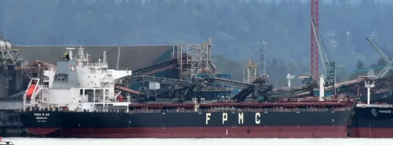 FPMC B 106 Bulk Carrier IMO 9487689 photo 6