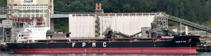 FPMC B 106 Bulk Carrier IMO 9487689 photo 7