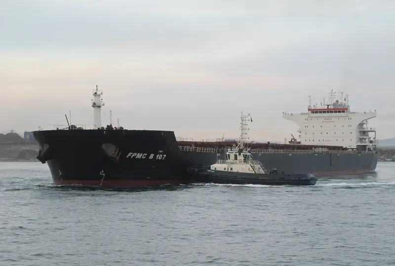 FPMC B 107 Bulk Carrier IMO 9487691 photo 3