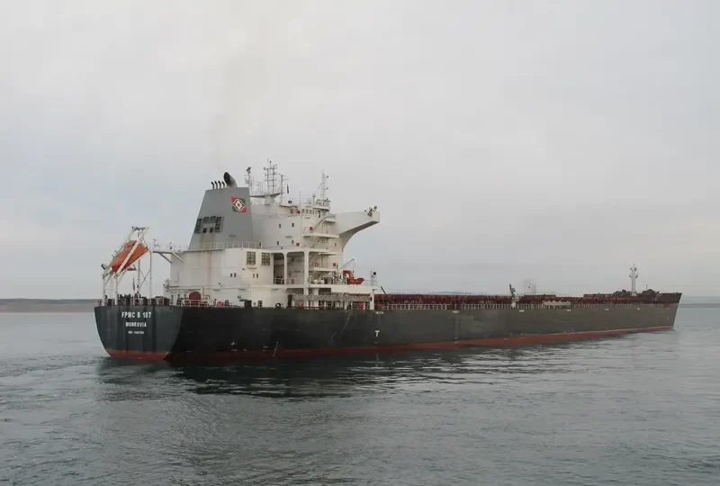 FPMC B 107 Bulk Carrier IMO 9487691 photo 4