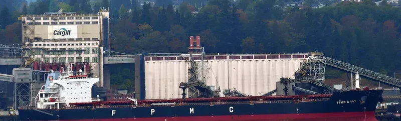 FPMC B 107 Bulk Carrier IMO 9487691 photo 10