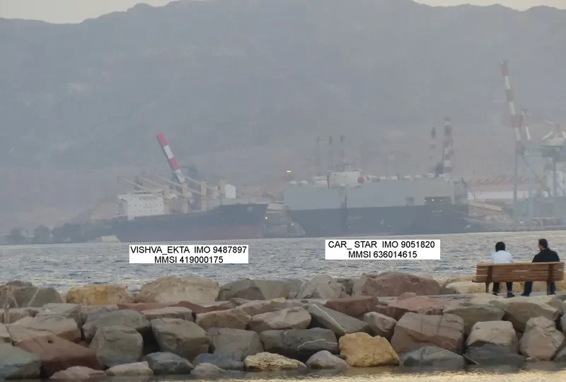 VISHVA EKTA Bulk Carrier IMO 9487897 photo 2