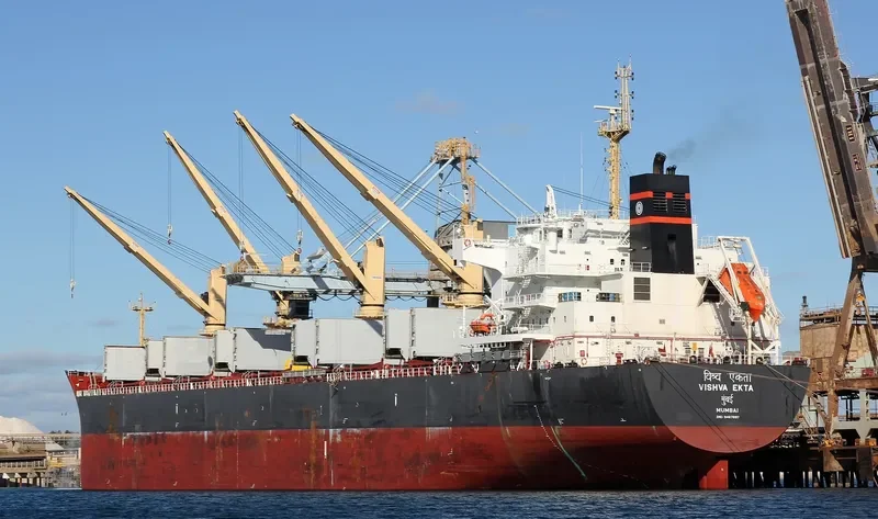 VISHVA EKTA Bulk Carrier IMO 9487897 photo 4