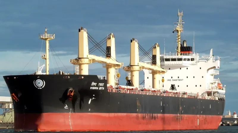 VISHVA EKTA Bulk Carrier IMO 9487897 photo 6