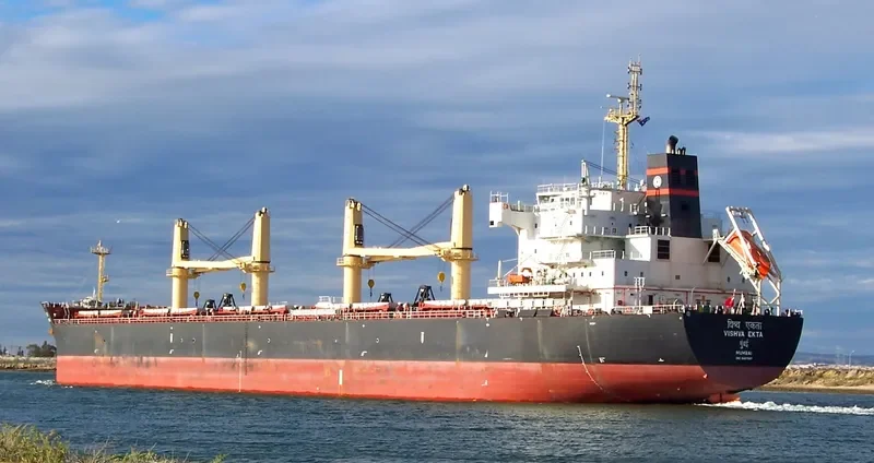 VISHVA EKTA Bulk Carrier IMO 9487897 photo 7
