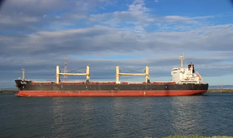 VISHVA EKTA Bulk Carrier IMO 9487897 photo 9