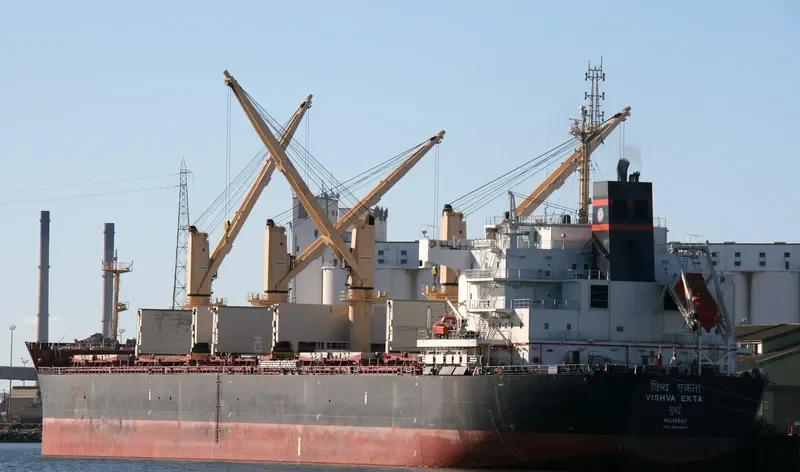 VISHVA EKTA Bulk Carrier IMO 9487897 photo 10