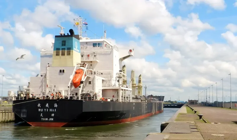 WU YI HAI Bulk Carrier IMO 9488217