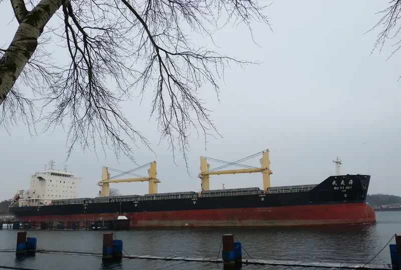 WU YI HAI Bulk Carrier IMO 9488217 photo 4