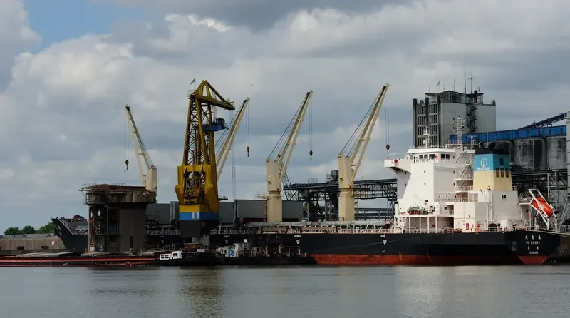 WU YI HAI Bulk Carrier IMO 9488217 photo 8