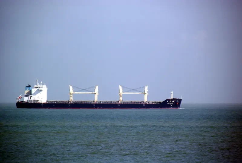 WU YI HAI Bulk Carrier IMO 9488217 photo 9