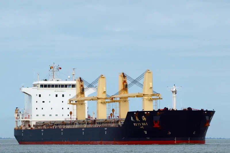 WU YI HAI Bulk Carrier IMO 9488217 photo 10