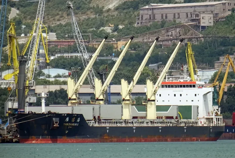 YAN DANG HAI Bulk Carrier IMO 9488229