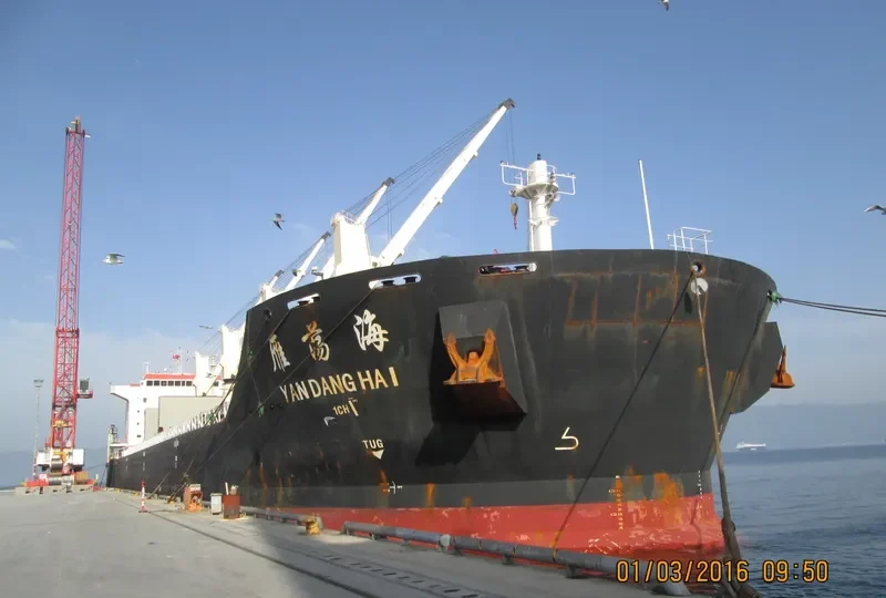 YAN DANG HAI Bulk Carrier IMO 9488229 photo 4