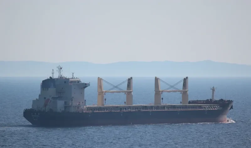 YAN DANG HAI Bulk Carrier IMO 9488229 photo 6