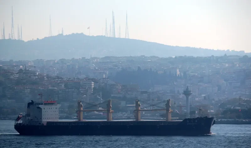 YAN DANG HAI Bulk Carrier IMO 9488229 photo 7