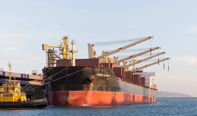 VINCENT GEMMA Bulk Carrier IMO 9488566