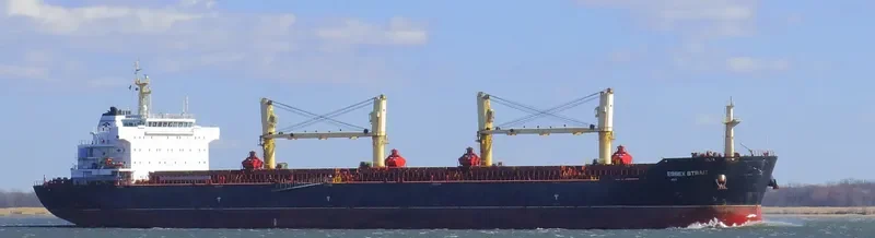 VINCENT GEMMA Bulk Carrier IMO 9488566 photo 2