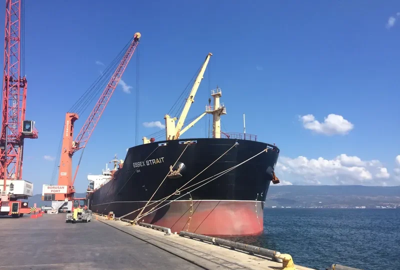 VINCENT GEMMA Bulk Carrier IMO 9488566 photo 6
