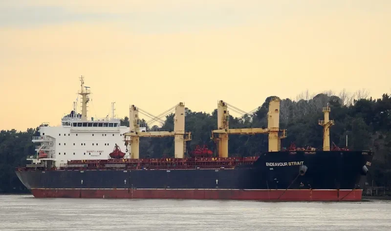 SAFESEA ANYA Bulk Carrier IMO 9488578 photo 3