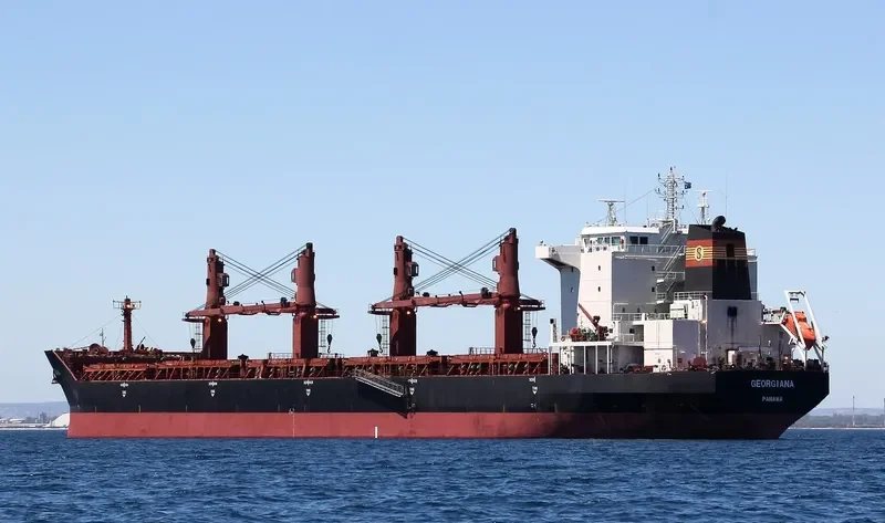 VAN BONITA Bulk Carrier IMO 9488798