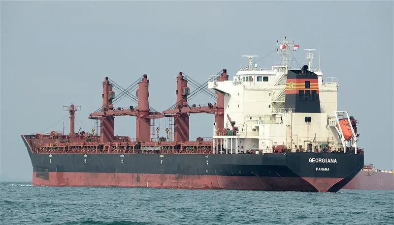 VAN BONITA Bulk Carrier IMO 9488798 photo 2