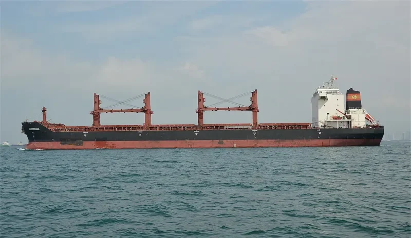VAN BONITA Bulk Carrier IMO 9488798 photo 3