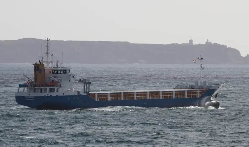 FILIA ARIEA General Cargo IMO 9488815 photo 3