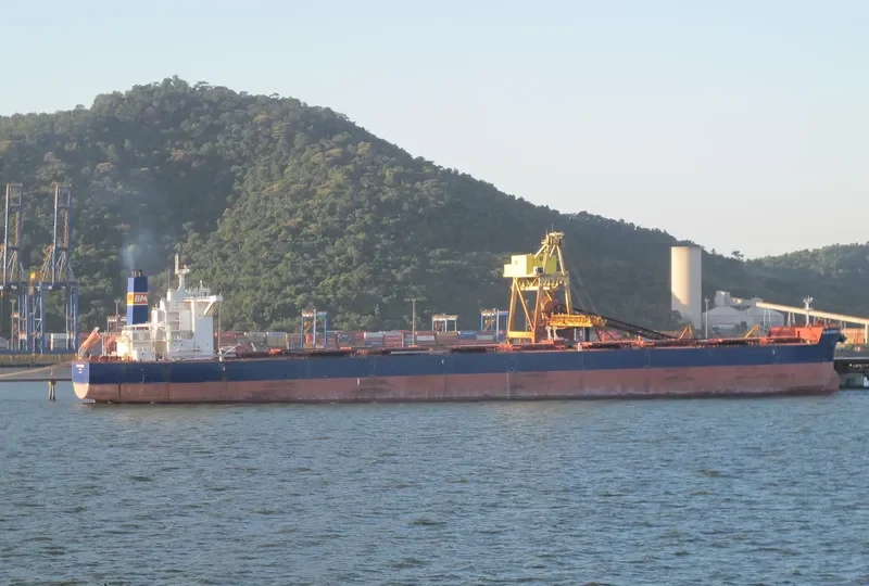 SEALINK Bulk Carrier IMO 9488853 photo 2