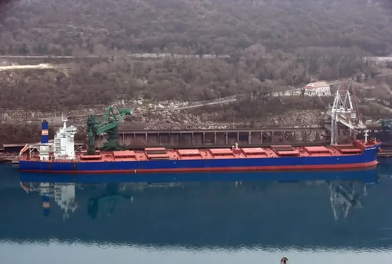 SEALINK Bulk Carrier IMO 9488853 photo 6