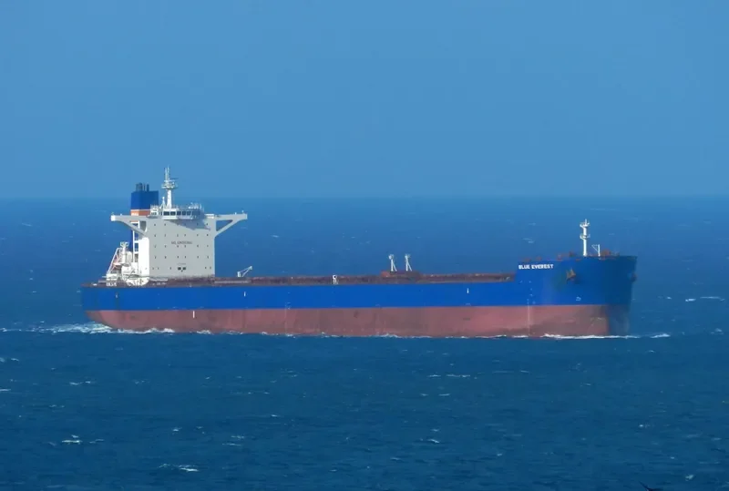 SEALINK Bulk Carrier IMO 9488853 photo 8