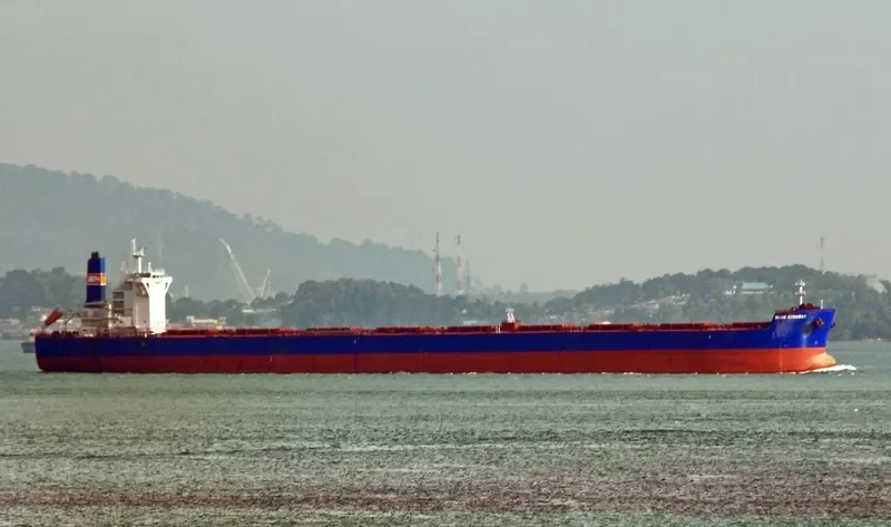 SEALINK Bulk Carrier IMO 9488853 photo 9