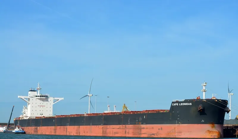 EPIC Bulk Carrier IMO 9488865