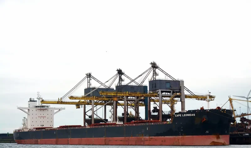 EPIC Bulk Carrier IMO 9488865 photo 2