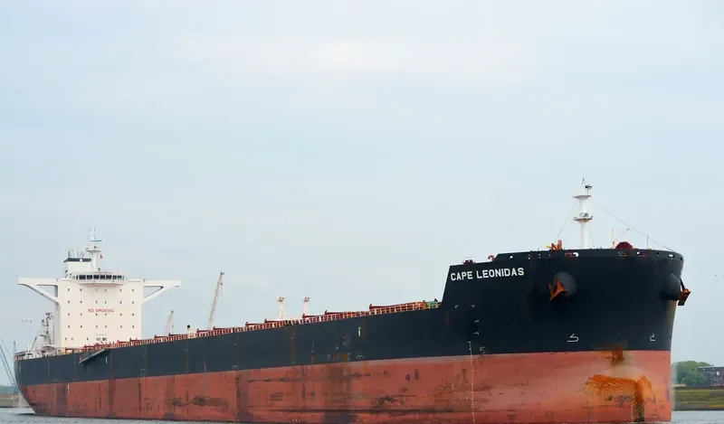 EPIC Bulk Carrier IMO 9488865 photo 4
