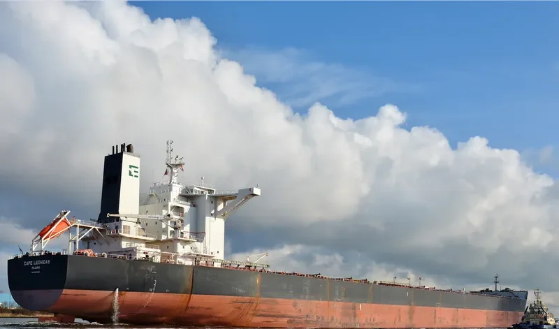 EPIC Bulk Carrier IMO 9488865 photo 7