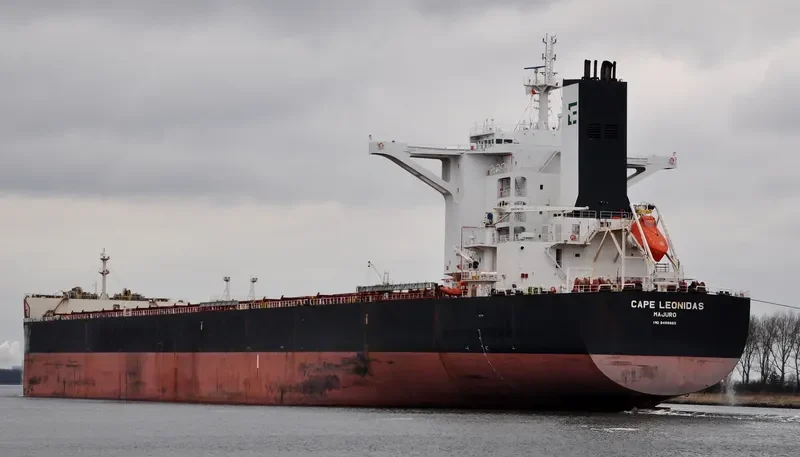 EPIC Bulk Carrier IMO 9488865 photo 9