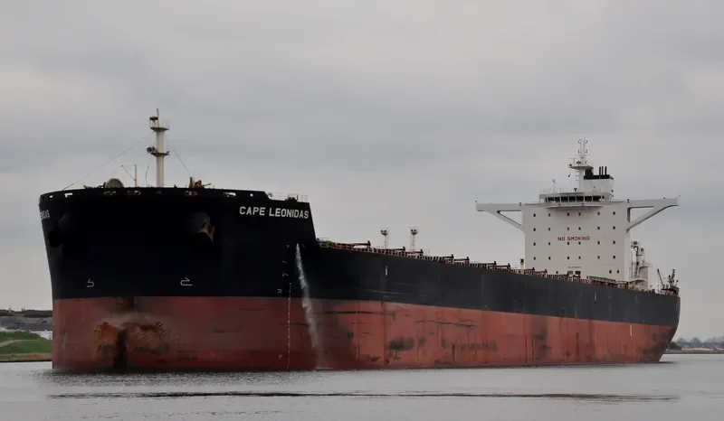 EPIC Bulk Carrier IMO 9488865 photo 10