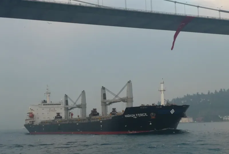 MAGNUM FORCE Bulk Carrier IMO 9488956 photo 3