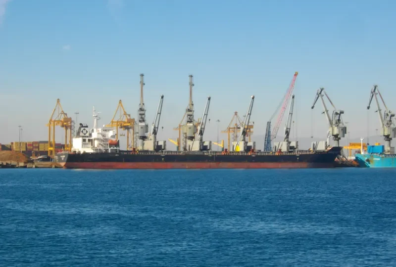 MAGNUM FORCE Bulk Carrier IMO 9488956 photo 5
