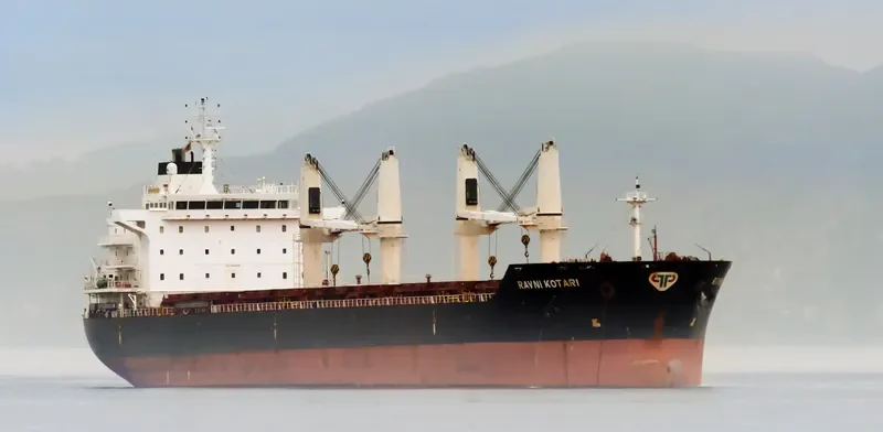 RAVNI KOTARI Bulk Carrier IMO 9489168