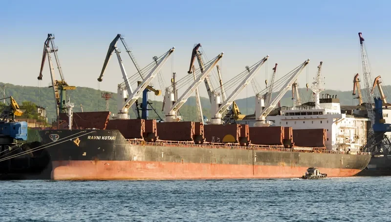 RAVNI KOTARI Bulk Carrier IMO 9489168 photo 5