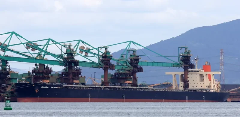 GLOBAL PROSPERITY Bulk Carrier IMO 9489508 photo 9