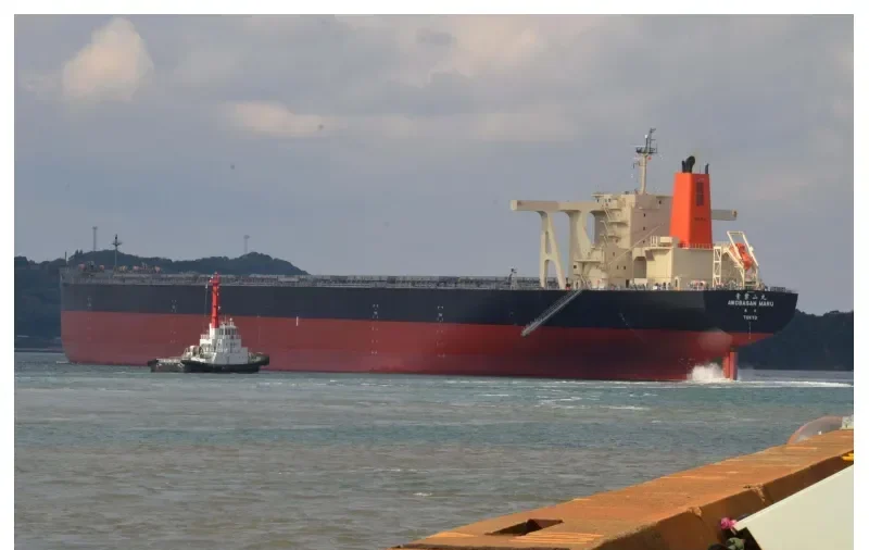 AWOBASAN MARU Bulk Carrier IMO 9489510